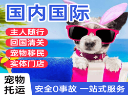 奇台江空运地址国际宠物托运 【国